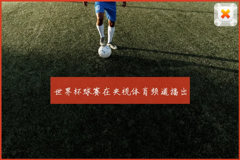 世界杯球赛在央视体育频道播出