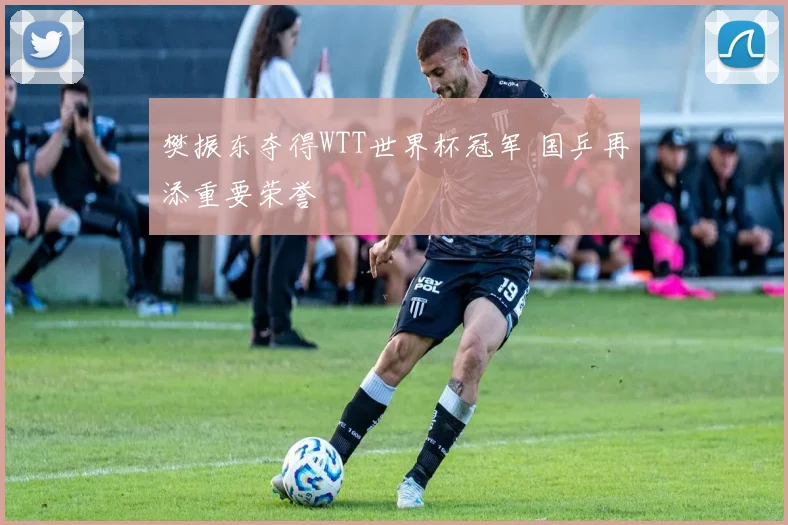 樊振东夺得WTT世界杯冠军 国乒再添重要荣誉