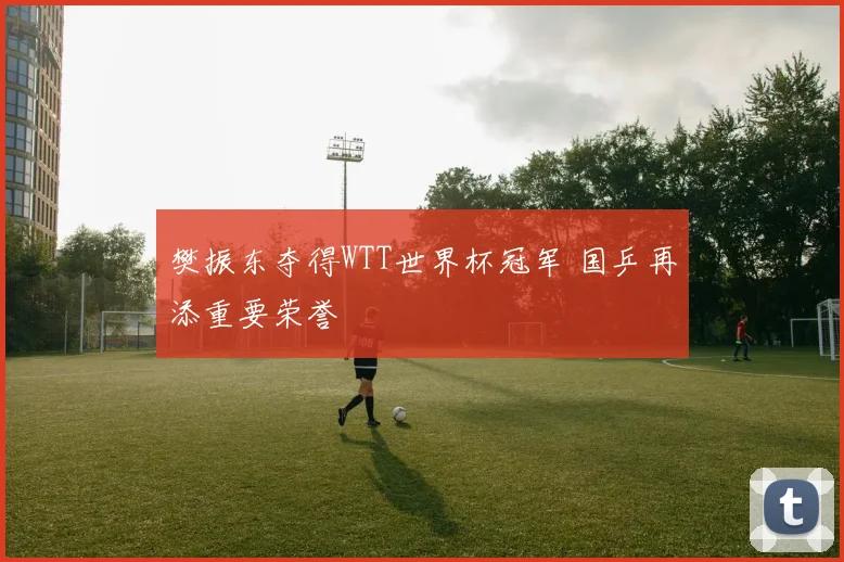 樊振东夺得WTT世界杯冠军 国乒再添重要荣誉