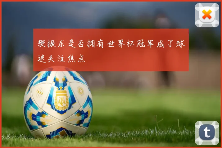 樊振东是否拥有世界杯冠军成了球迷关注焦点