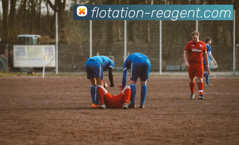 leyu乐鱼网页版在线登录平台生态图