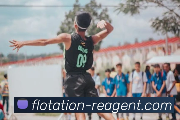 leyu乐鱼网页版在线登录全站App